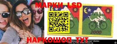 шишки Майкоп