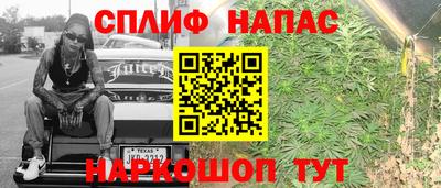 крисы Мирный