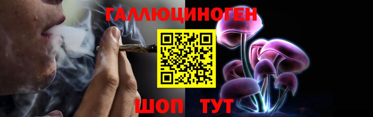 Галлюциногенные грибы Psilocybe Луга
